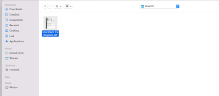 A file browser window showing a single PDF resume file selected