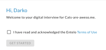 The interview welcome screen with an unticked terms checkbox and a disabled Get Started button