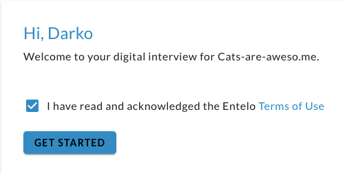 The interview welcome screen with the terms checkbox ticked and the Get Started button enabled
