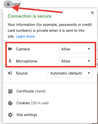 The browser site information panel with the Camera and Microphone permissions highlighted, both set to Allow