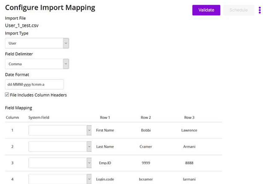 The Configure Import Mapping page with Import Type, Field Delimiter, Date Format and a Field Mapping table