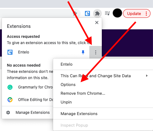 The Chrome Extensions menu with arrows pointing to the three-dot menu on the extension and its Options item