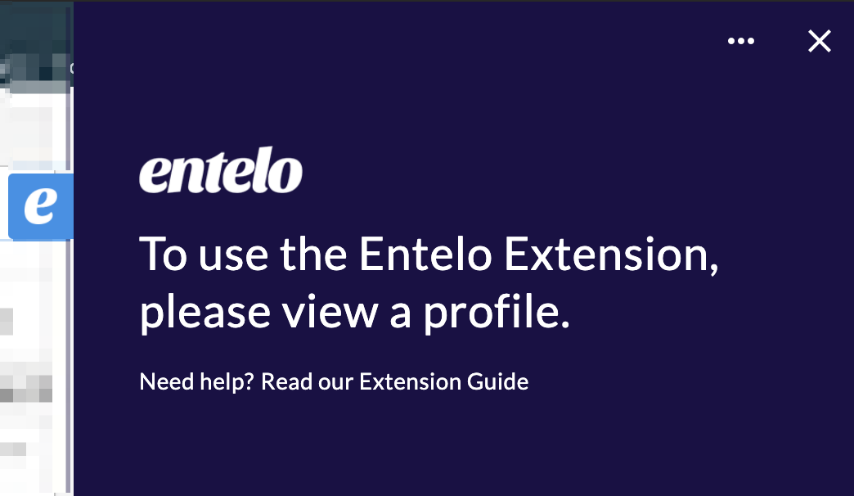 The extension panel asking the user to view a profile, with a three-dot menu and a close button at the top