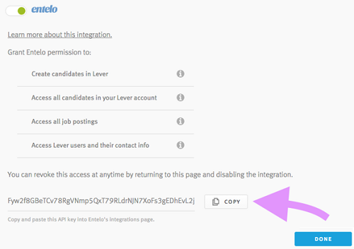 The Entelo integration in Lever showing a generated API key, with an arrow pointing to the Copy button
