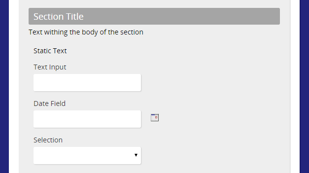 The form with a Section Title, Static Text, Text Input, Date Field and Selection fields