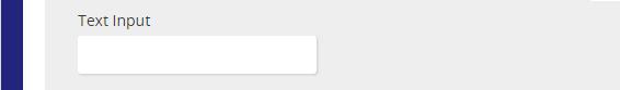 A Text Input field with an empty box as shown on the form