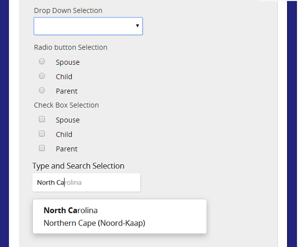 The form with drop-down, radio button, check box and type-and-search selections, with matching suggestions listed