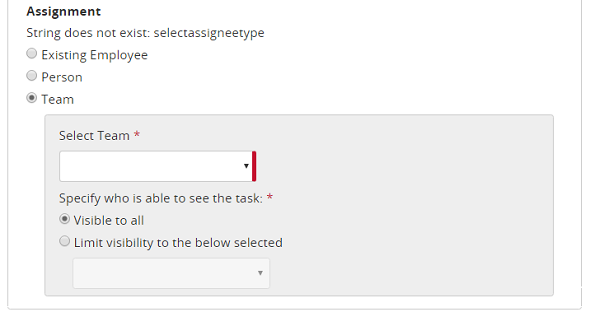 The Assignment section with Team selected, showing a Select Team list and options for who can see the task